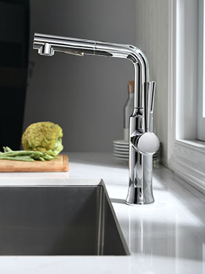 Shinny Chrome Plate Grifo Agua de grifo Sanitarios